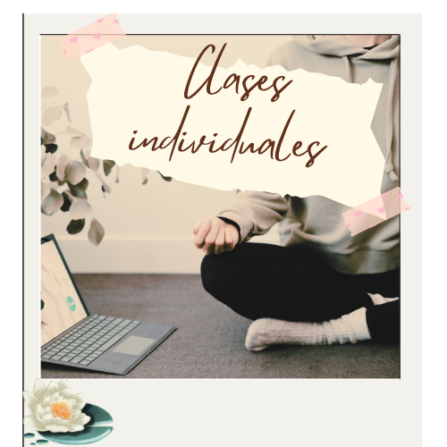 Clases individuales